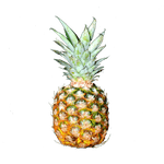 Load image into Gallery viewer, Pineapple