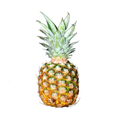 Pineapple