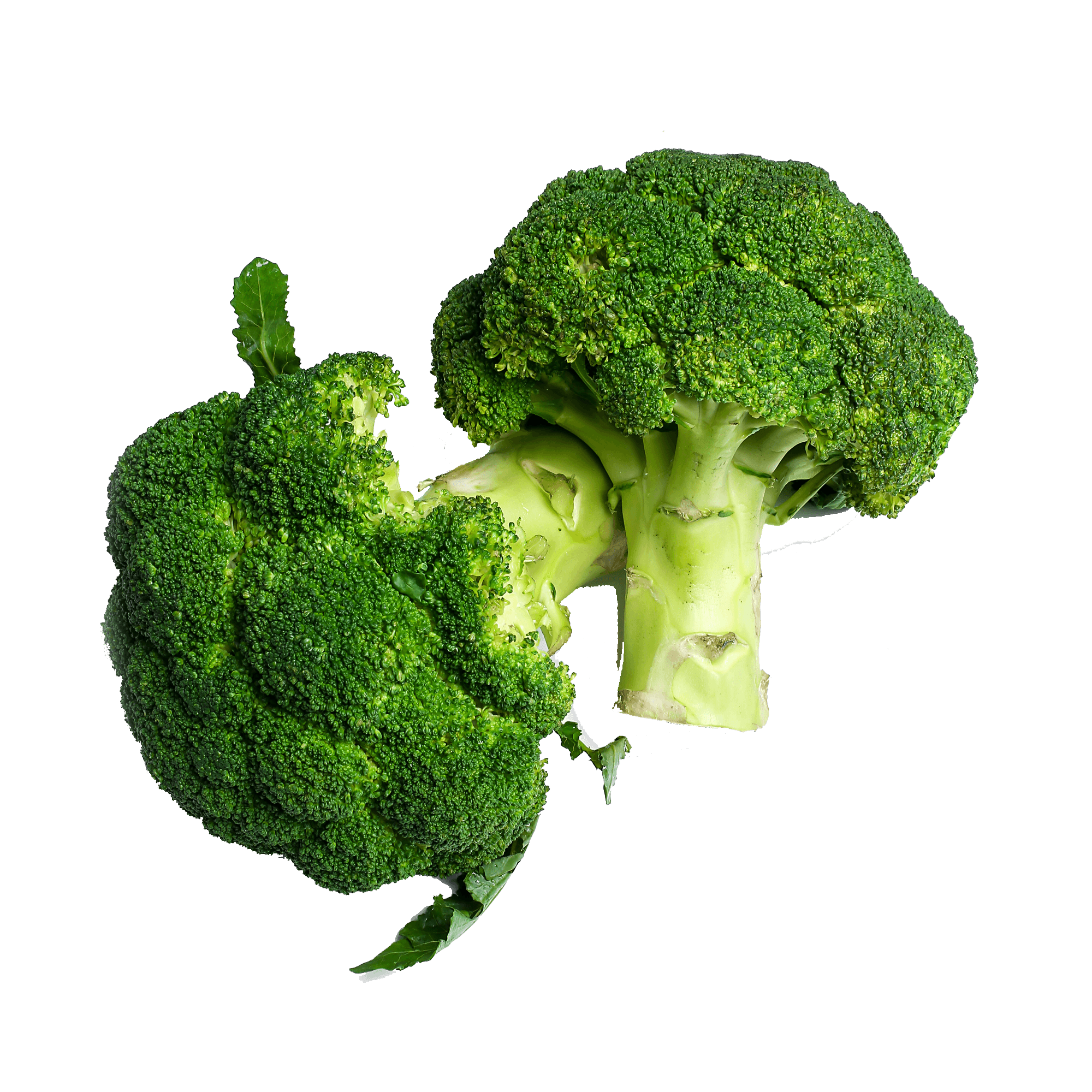 Organic Broccoli