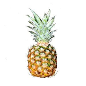 Pineapple